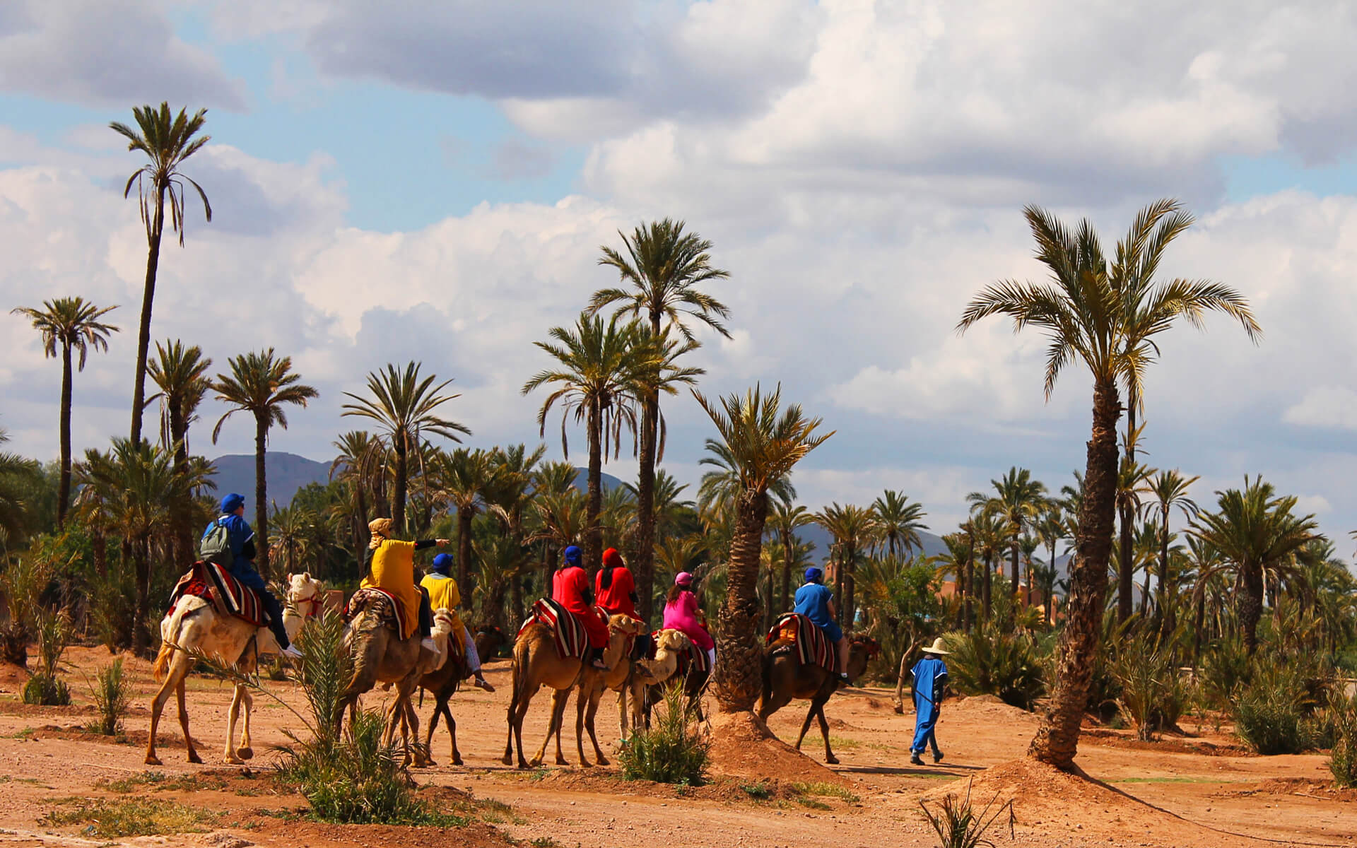 Group-of-tourists-riding-camels-in-Marrakech-palmeraie