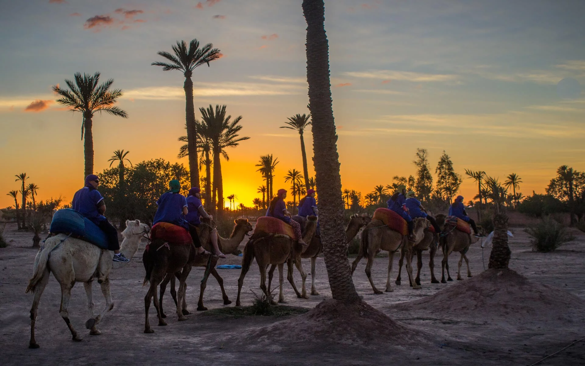 Small-group-of-tourists-camel-trekking-and-watching-sunset-in-Marrakech