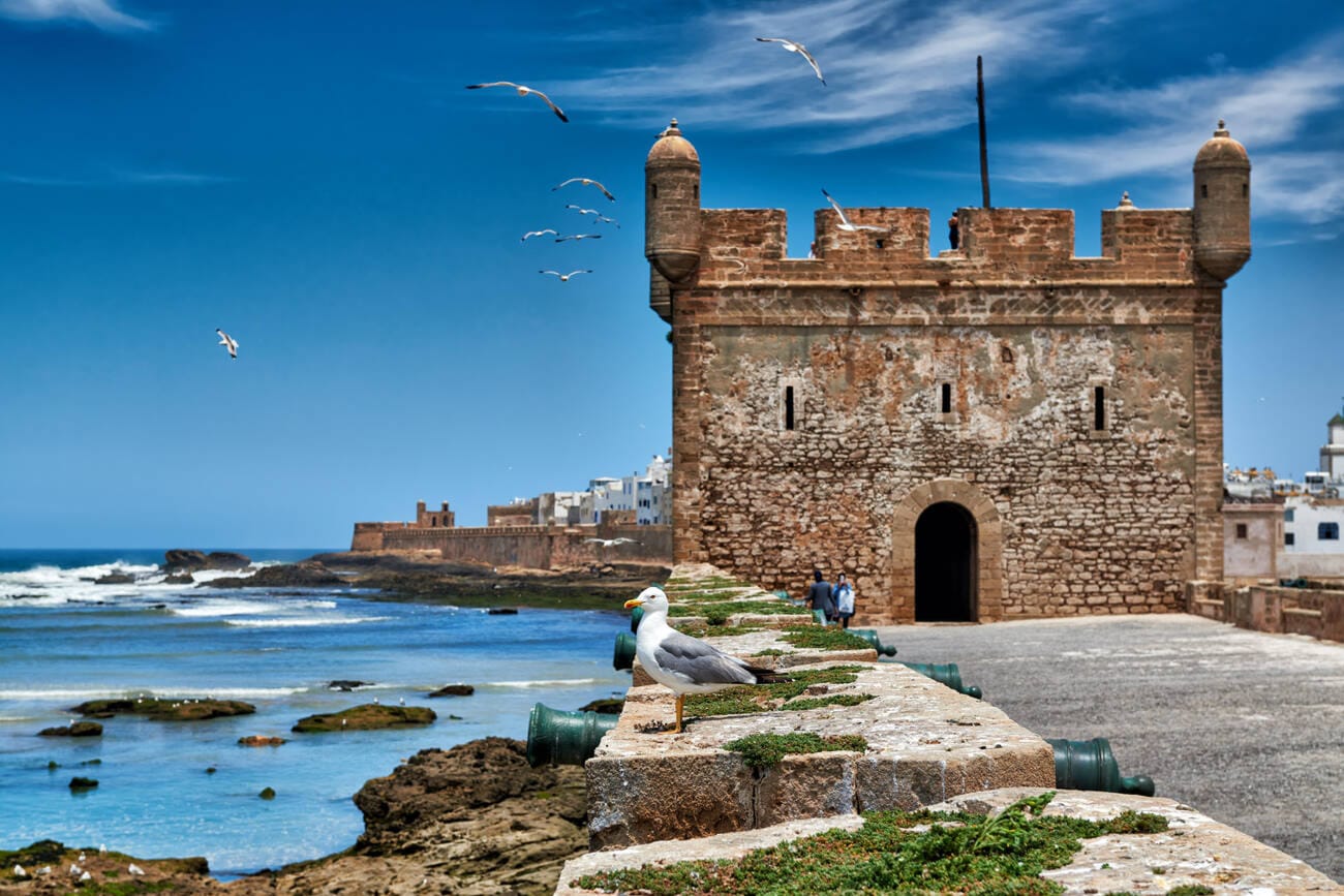 Day Trip to Essaouira - Mogador