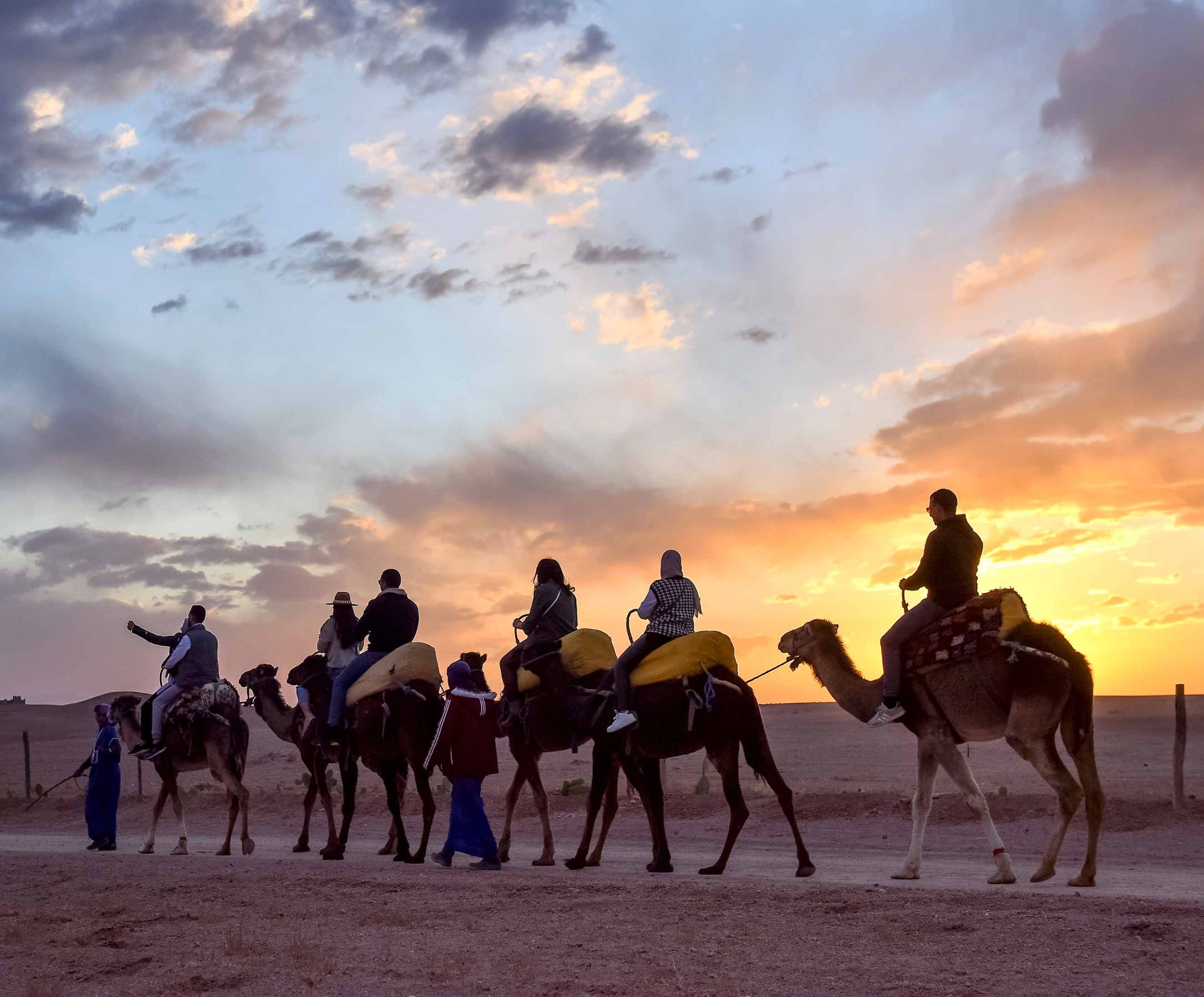 location-dromadaire-agafay-marrakech-pearl-camp-scaled